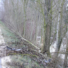 2512009vub20whaktivnews_10.jpg
