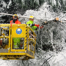 __BB_gegen_Schnee_B__ume.jpg