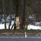 normal_25122009VuSurheimrsaktivnews006.jpg