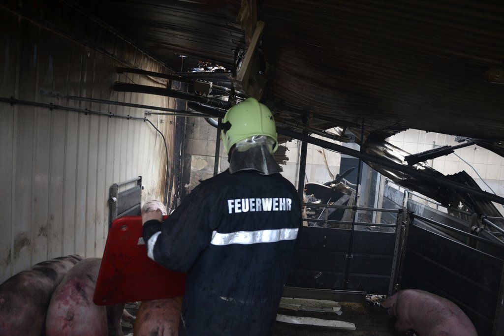 20120108_Brand_Steinbruck_Br__ndl_02k.jpg