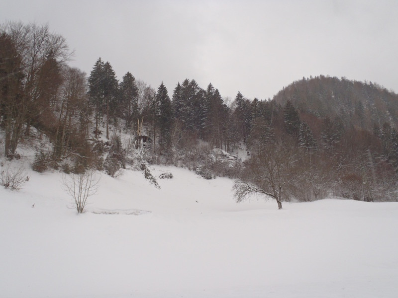 P1065210.JPG