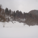 Sturm Andrea