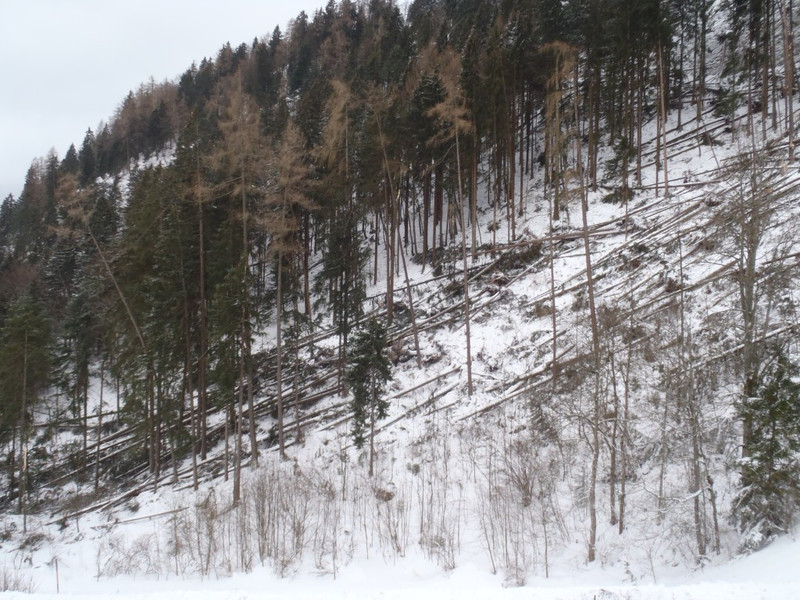 P1065212.JPG