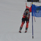 DSC_1242.jpg