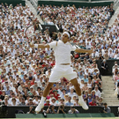 5_federer.jpg