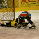 56 Bambini Turnier am 08_01_2012_JPG-1326042895