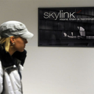 20_skylink.jpg