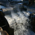 IMG_8978.JPG