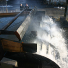 IMG_8984.JPG