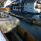 IMG_8988.JPG