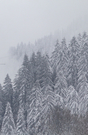 Schneechaos am Arlberg: Der Black Hawk Hubschrauber im Einsatz