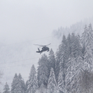IMG_5475.JPG