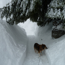 Klostertal_Tscholl.JPG