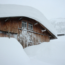 Winter 025.JPG
