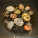 DSCN3943_JPG-1326115200