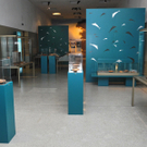 DSCN8545_jpg-1326115234