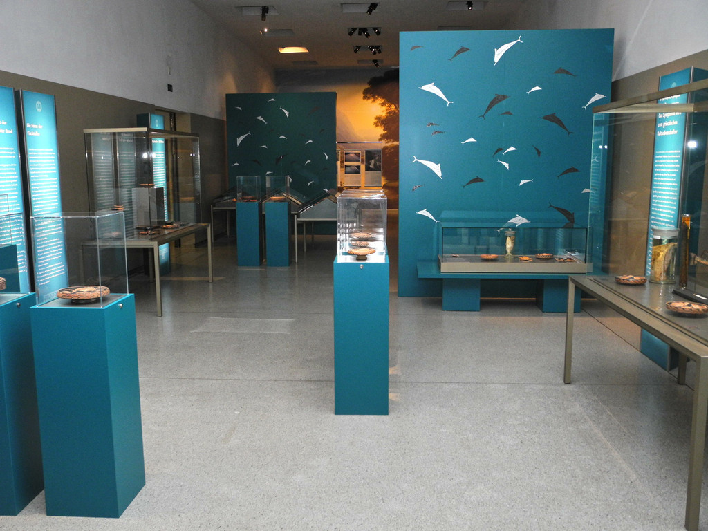 DSCN8545_jpg-1326115234