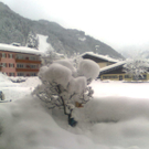 Bild0162.jpg