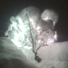 Bild0158.jpg