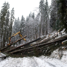 DI10132-20120109.jpg