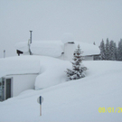 100_2875.jpg