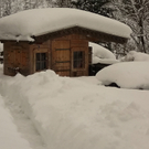 09012012pinzgauexde01001aktivnews_6.jpg