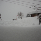 Schneebild2.JPG