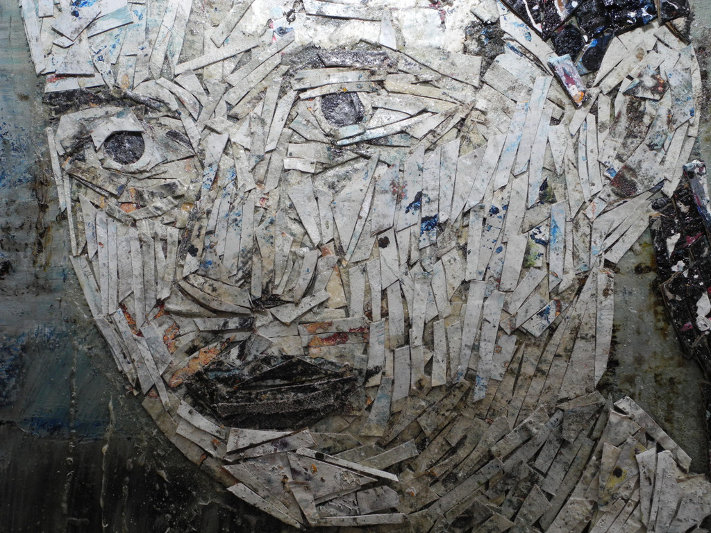 DSCN9331_JPG-1326126675