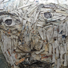 DSCN9332_JPG-1326126710