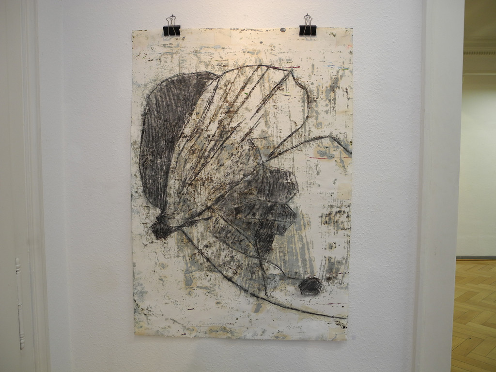 DSCN9316_JPG-1326126508