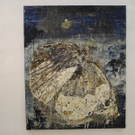 DSCN9317_JPG-1326126534