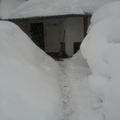 2012-01-09 10_49_26.jpg