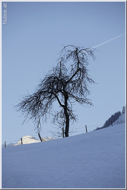 _MG_1087.jpg