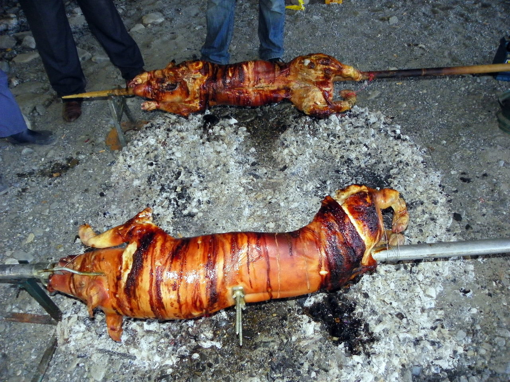 Bild 247_jpg-1326147184