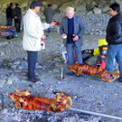 Bild 254_jpg-1326147193