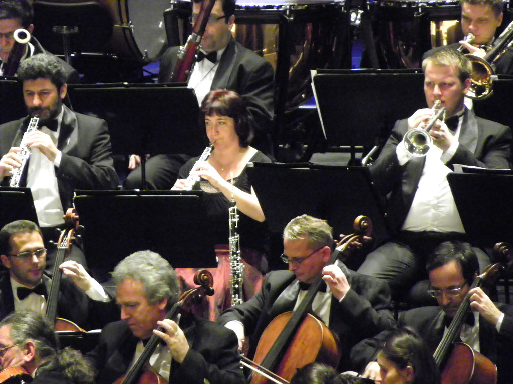 113_5595_JPG-1326147757