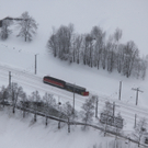 IMG_1524.JPG