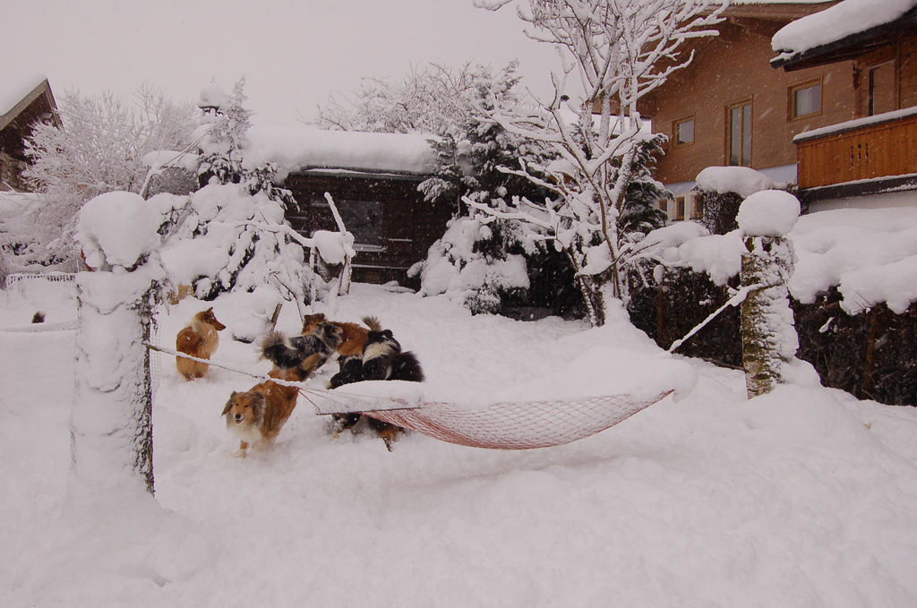 8 01 2012 schnee 007.jpg