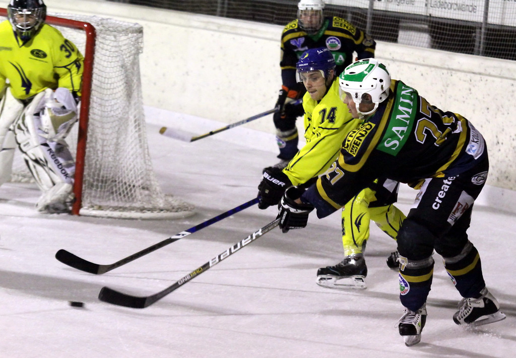 Eishockey Rankl - Ems 2012 099.jpg