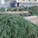 IMG_0882.JPG