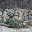 IMG_0890.JPG