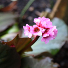 10012012fmt_fruehlingimjaenner_mw_03.JPG