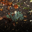 10012012fmt_fruehlingimjaenner_mw_13.JPG