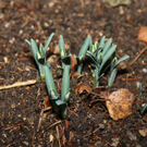 10012012fmt_fruehlingimjaenner_mw_15.JPG