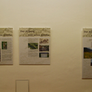 arlberg_stra__e11_jpg-1326251432