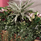 DSC00126.JPG