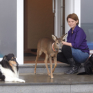 Reh Mia hält sich für einen Hund