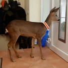 ABD0049-20120111.jpg