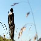 DSCN2488.JPG