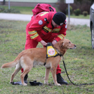Einsatz Fischlham 02.jpg